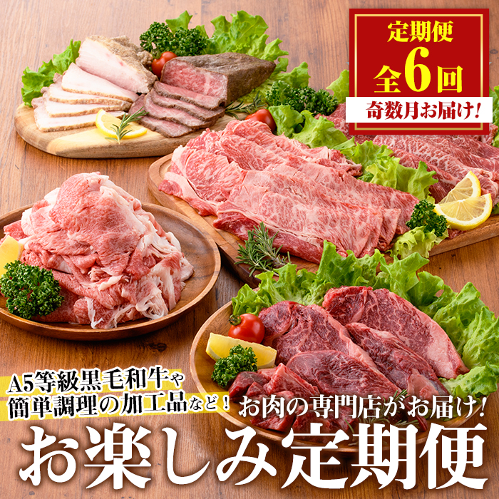 No.1246 ＜定期便・全6回(奇数月)＞お楽しみ！大人気の返礼品定期便 お試しコース(総重量5kg以上・ステーキ、霜降り焼肉、ローストビーフ等) 牛肉 黒毛和牛 定期便 ギフト 贈答【カミチク】