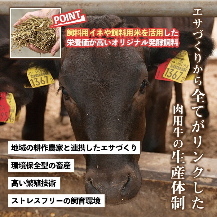 No.1247 ＜定期便・全3回(連続)＞カミチクの定番！鹿児島県産黒毛和牛定期便(合計1.3kg) 牛肉 黒毛和牛 ステーキ スライス 焼肉 BBQ キャンプ 定期便 A5 ギフト 贈答【カミチク】