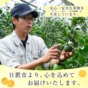 No.1250 ＜数量限定＞薩摩不知火クラフトビール「FukiageIPA」(330ml×3本) 不知火 クラフトビール ビール 果物 フルーツ 柑橘 みかん ギフト 贈答 数量限定 【黒川農園】