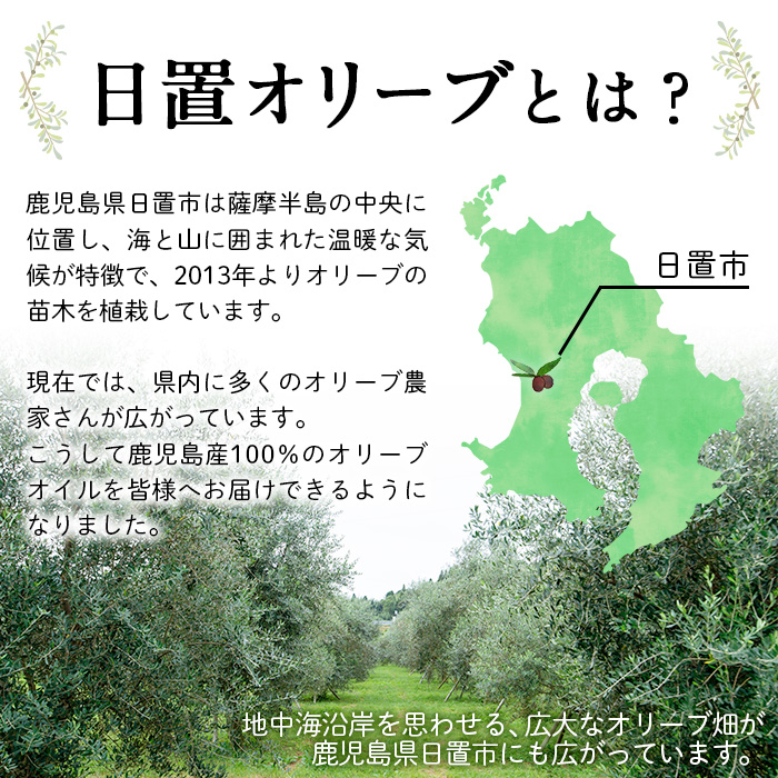 No.1253 ïŒæ°ééå®ïŒãªãªãŒãã®è(1æ¬)鹿å
å³¶çç£ è èŠ³èæ€ç© ãªãªãŒã åœç£ ã·ã³ãã«ããªãŒ åºæš å
ç¥ã ã®ãã èŽç ãã¬ãŒã³ã èŠ³è³ èæšã鹿å
å³¶ãªãªãŒãã