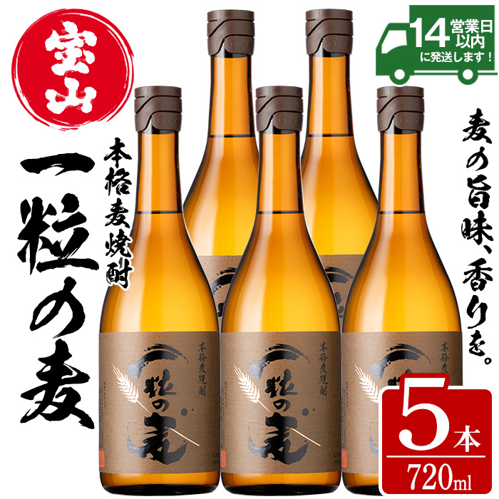 No.912 一粒の麦(720ml×5本) 焼酎 麦焼酎 酒 アルコール 麦 家飲み 宅飲み 大麦 大麦麹 セット 常温 常温保存【西酒造】