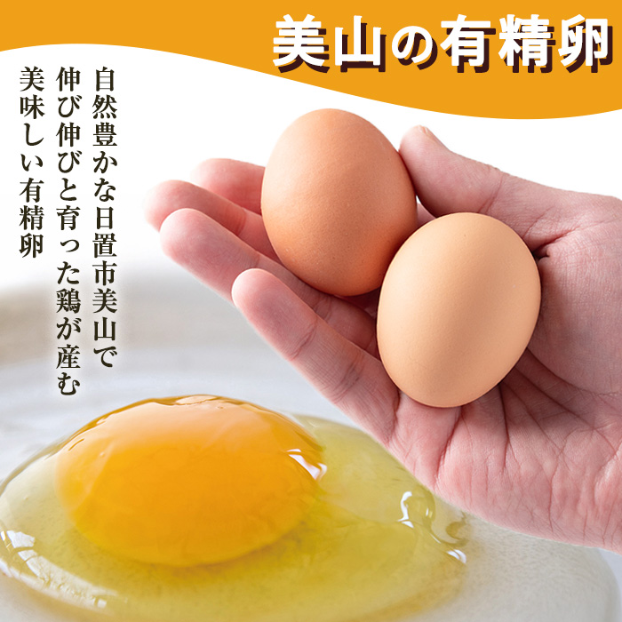 No.781 ＜定期便・全6回＞鹿児島県産有精卵(40個×6回連続) 割れ保証付 【美山たまご王国】