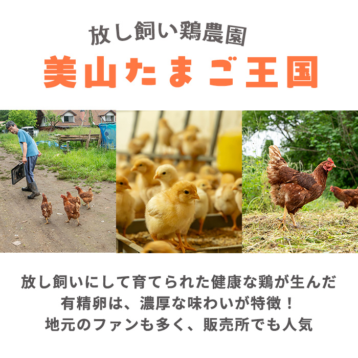 No.782 鹿児島県産有精卵(40個・ 割れ保証込み) 国産 鹿児島県産 たまご タマゴ 有精卵 卵 鶏卵 数量限定【美山たまご王国】
