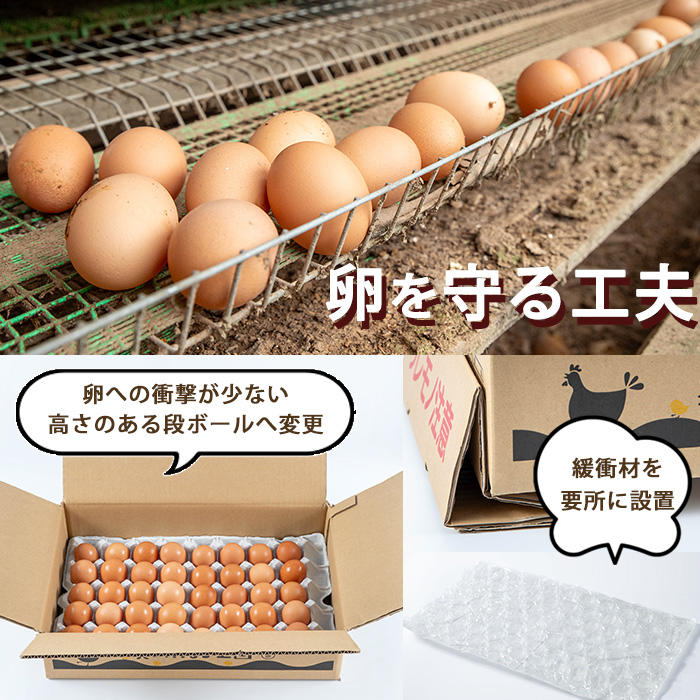 No.779 ïŒå
š6åã»å®æäŸ¿ïŒé¹¿å
å³¶çç£çŸå±±ãªãªãŒãåµ(40åÃ6åé£ç¶) ãçŸå±±ããŸãçåœã