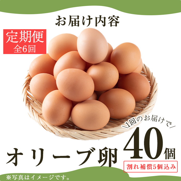 No.779 ïŒå
š6åã»å®æäŸ¿ïŒé¹¿å
å³¶çç£çŸå±±ãªãªãŒãåµ(40åÃ6åé£ç¶) ãçŸå±±ããŸãçåœã