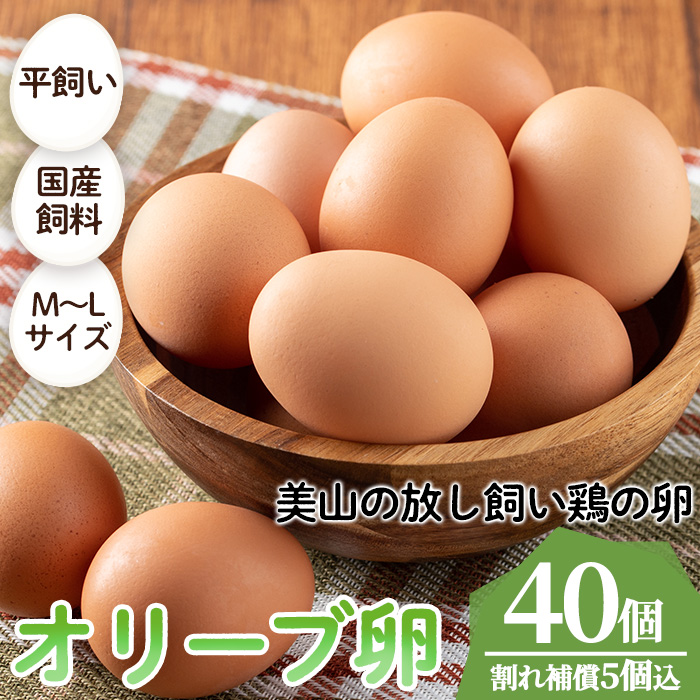 No.780 鹿児島県産美山オリーブ卵(40個) 【美山たまご王国】