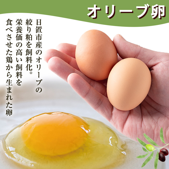 No.780 鹿å
å³¶çç£çŸå±±ãªãªãŒãåµ(40å) ãçŸå±±ããŸãçåœã