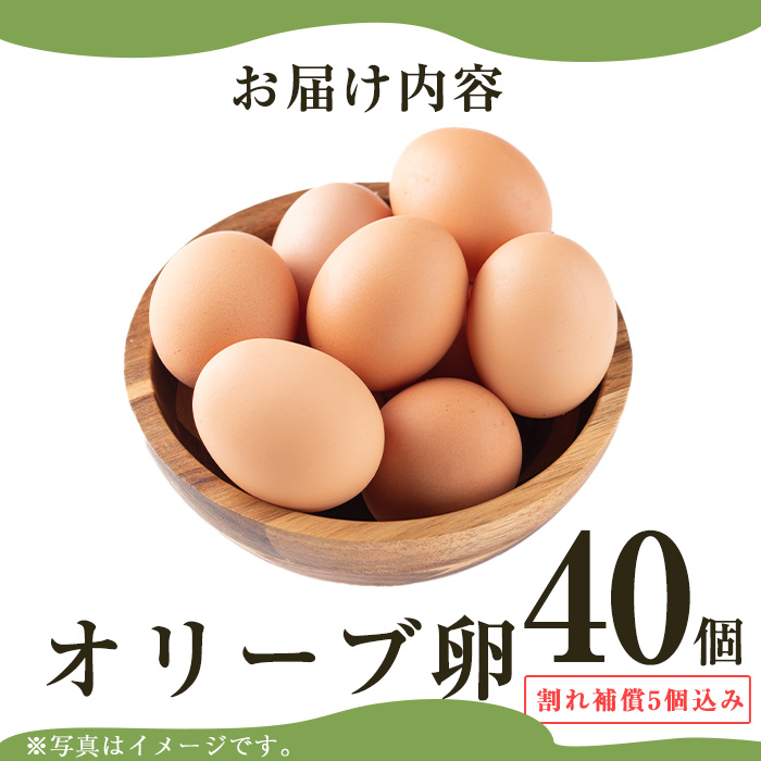 No.780 鹿å
å³¶çç£çŸå±±ãªãªãŒãåµ(40å) ãçŸå±±ããŸãçåœã