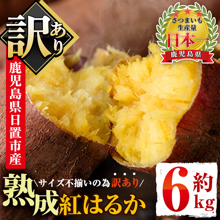 No.560-A ＜訳あり・不揃い＞鹿児島県日置市産さつまいも！熟成紅はるか(約6kg) 国産 九州産 サツマイモ  訳アリ 紅春香 熟成 芋 焼き芋 野菜 スイーツ 常温保存【末永商店】