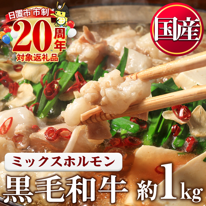 No.1001-01 黒毛和牛ミックスホルモン(計1kg) 国産 九州産 牛肉 黒毛和牛 和牛 ホルモン 焼肉 鉄板焼き もつ鍋 冷凍 小分け【カミチク】