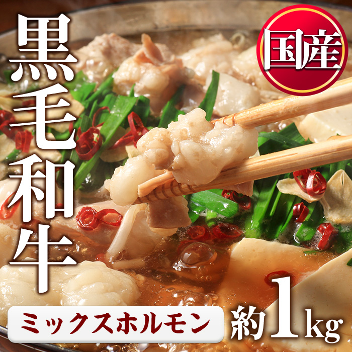 No.1001-01 黒毛和牛ミックスホルモン(計1kg) 国産 九州産 牛肉 黒毛和牛 和牛 ホルモン 焼肉 鉄板焼き もつ鍋 冷凍 小分け【カミチク】