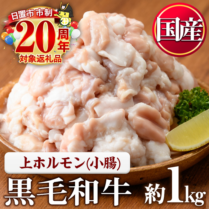 No.1001-02 黒毛和牛上ホルモン(計1kg) 国産 九州産 牛肉 黒毛和牛 和牛 ホルモン 焼肉 鉄板焼き もつ鍋 冷凍 小分け【カミチク】