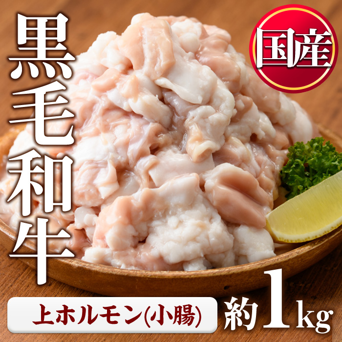 No.1001-02 黒毛和牛上ホルモン(計1kg) 国産 九州産 牛肉 黒毛和牛 和牛 ホルモン 焼肉 鉄板焼き もつ鍋 冷凍 小分け【カミチク】