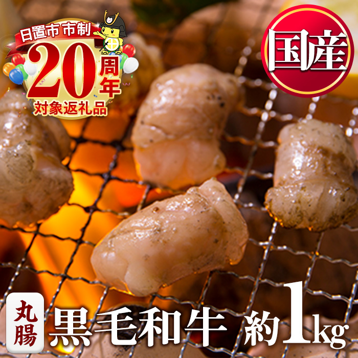 No.1001-03 黒毛和牛丸腸(計1kg) 国産 九州産 牛肉 黒毛和牛 和牛 ホルモン 焼肉 鉄板焼き もつ鍋 冷凍 小分け【カミチク】