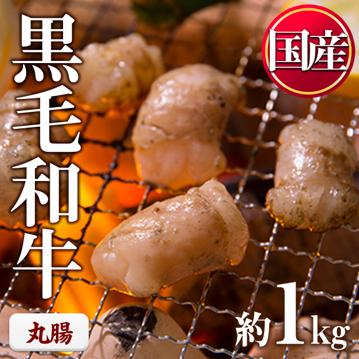 No.1001-03 黒毛和牛丸腸(計1kg) 国産 九州産 牛肉 黒毛和牛 和牛 ホルモン 焼肉 鉄板焼き もつ鍋 冷凍 小分け【カミチク】