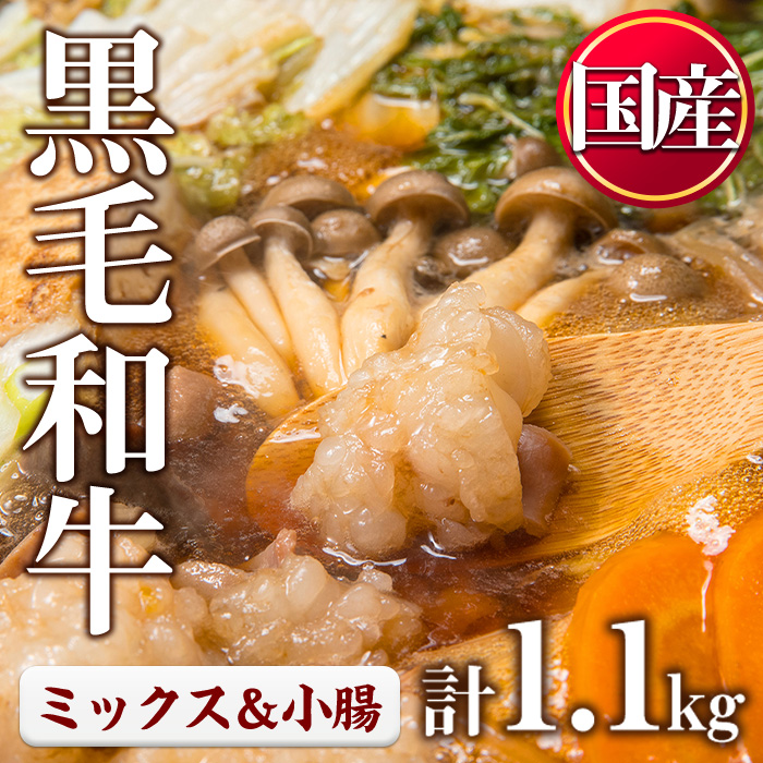 No.1001-04 国産黒毛和牛ミックスホルモン、上ホルモン(合計1.1kg) 国産 九州産 牛肉 黒毛和牛 和牛 ホルモン 焼肉 鉄板焼き もつ鍋 冷凍 小分け【カミチク】
