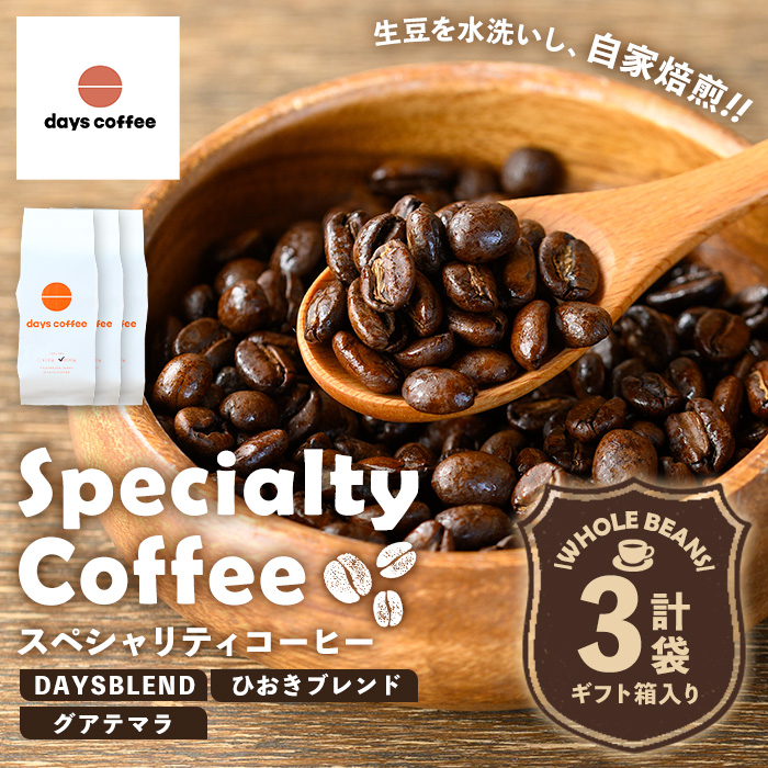 No.1190-B 自家焙煎コーヒー豆「スペシャリティコーヒー(DAYSBLEND/ひおきブレンド/グアテマラ)」(各200g×3袋・合計600g)【days coffee】
