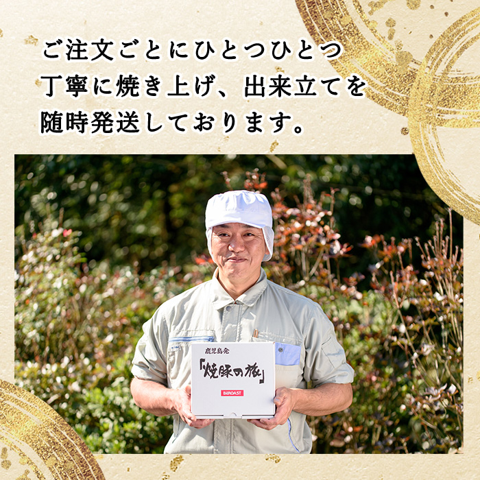 No.1204-B 鹿児島県産焼豚スライス計1.2kg(100g×12P)【薩摩ファームブロスト】