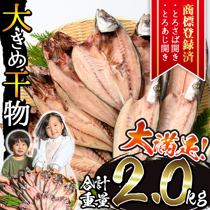 No.406-A 大きめ干物詰合せ＜合計2kg＞ 干物 セット 詰め合わせ ひもの 魚介類 魚 おかず おつまみ お楽しみ 【みのだ食品】