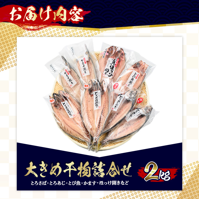 No.406-A 大きめ干物詰合せ＜合計2kg＞ 干物 セット 詰め合わせ ひもの 魚介類 魚 おかず おつまみ お楽しみ 【みのだ食品】