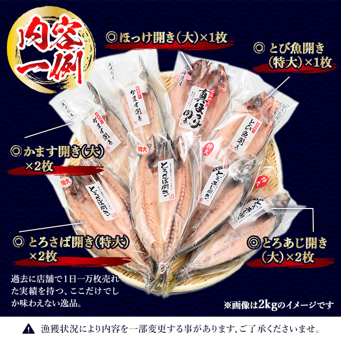 No.406-A 大きめ干物詰合せ＜合計2kg＞ 干物 セット 詰め合わせ ひもの 魚介類 魚 おかず おつまみ お楽しみ 【みのだ食品】