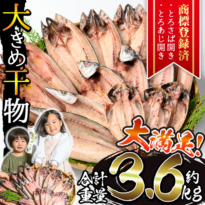No.406-B 大きめ干物詰合せ＜合計約3.6kg＞ 干物 セット 詰め合わせ ひもの 魚介類 魚 あじ さば おかず おつまみ お楽しみ 【みのだ食品】