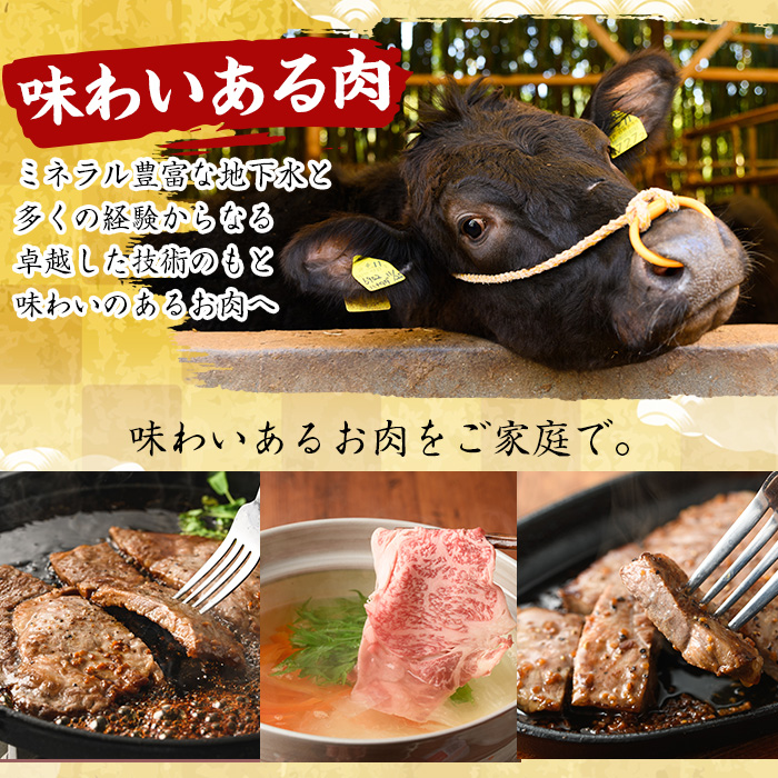 No.1142-A 薩摩和牛切り落とし(500g×1P) 【さつま屋産業】