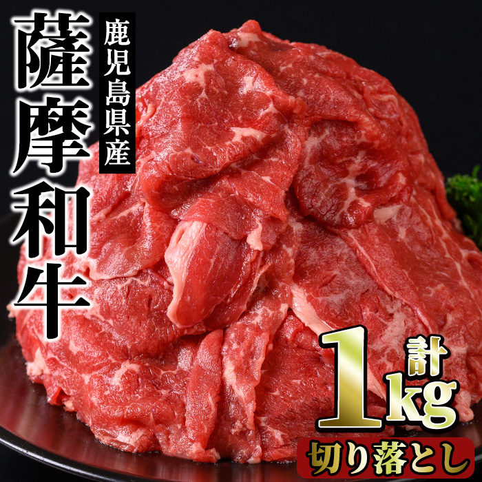 No.1142-B 薩摩和牛切り落とし(計1kg・500g×2P) 【さつま屋産業】