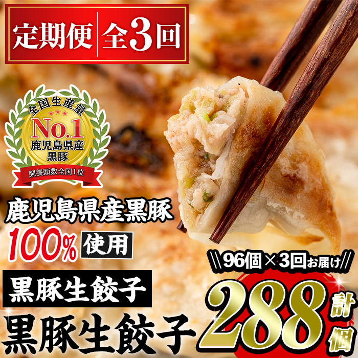 No.861t-A ＜定期便・全3回＞鹿児島黒豚使用の黒豚餃子(合計288個・12個入り×8パック×3回) 国産 九州産 ぎょうざ 冷凍 黒豚 豚肉 お肉 おかず 定期便 頒布会【末永商店】