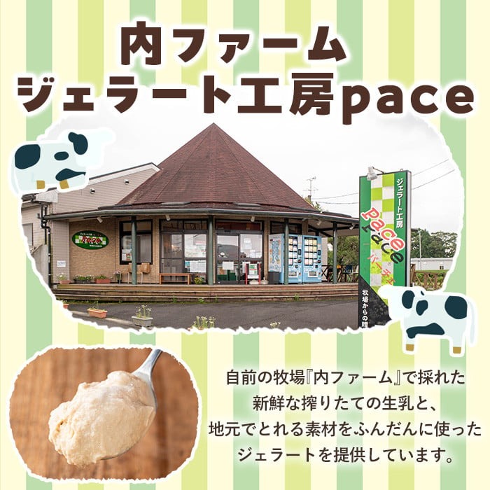No.314-02 ＜土日祝着＞paceのアイスクリームセット！(計8個・6種) ジェラート ミルク お茶 チョコレート 黒糖 デザート スイーツ おやつ 贈答 【内ファーム ジェラート工房pace】