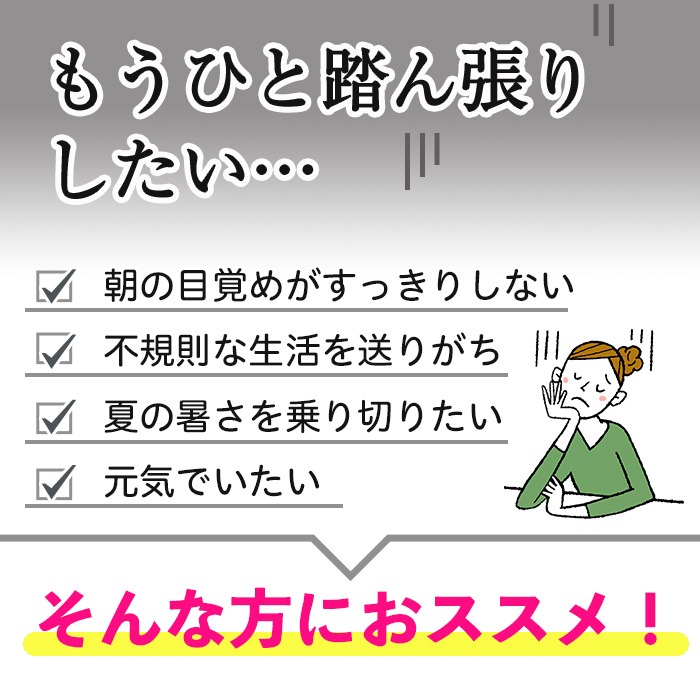 No.1300-B ＜定期便・全6回(隔月)＞ビタミンB群(1袋31粒入/2袋×6回・計12袋) 鹿児島 日置市 健康食品 サプリ 栄養バランス 食生活 安心安全 ビタミン 定期便 【てまひま堂】