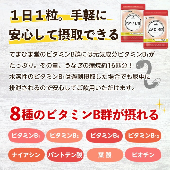 No.1300-B ＜定期便・全6回(隔月)＞ビタミンB群(1袋31粒入/2袋×6回・計12袋) 鹿児島 日置市 健康食品 サプリ 栄養バランス 食生活 安心安全 ビタミン 定期便 【てまひま堂】