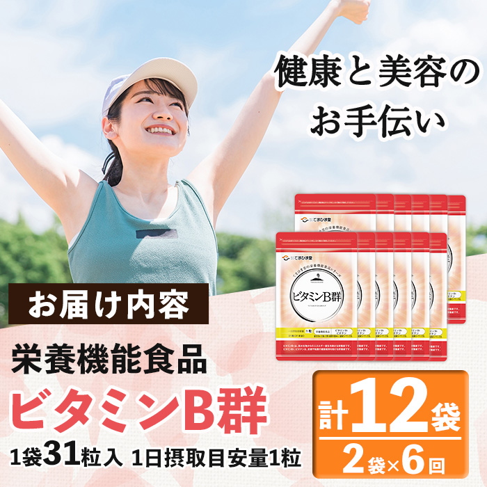 No.1300-B ＜定期便・全6回(隔月)＞ビタミンB群(1袋31粒入/2袋×6回・計12袋) 鹿児島 日置市 健康食品 サプリ 栄養バランス 食生活 安心安全 ビタミン 定期便 【てまひま堂】
