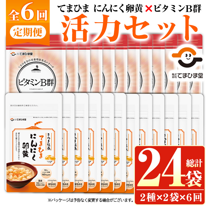 No.1298-B ＜定期便・全6回(隔月)＞活力セット(てまひま にんにく卵黄・ビタミンB群/各2袋×6回 計24袋) 鹿児島 日置市 ニンニク 健康食品 栄養 カプセル 安全安心【てまひま堂】