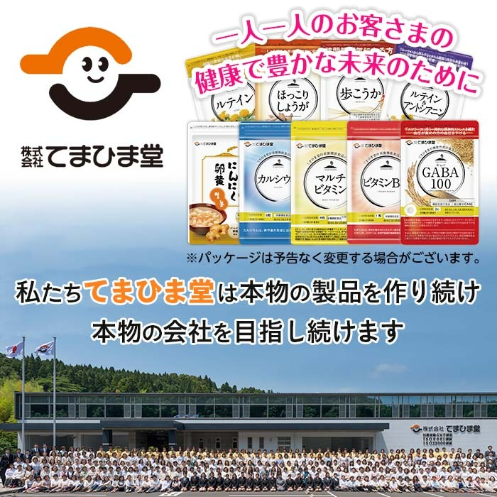 No.1298-B ＜定期便・全6回(隔月)＞活力セット(てまひま にんにく卵黄・ビタミンB群/各2袋×6回 計24袋) 鹿児島 日置市 ニンニク 健康食品 栄養 カプセル 安全安心【てまひま堂】