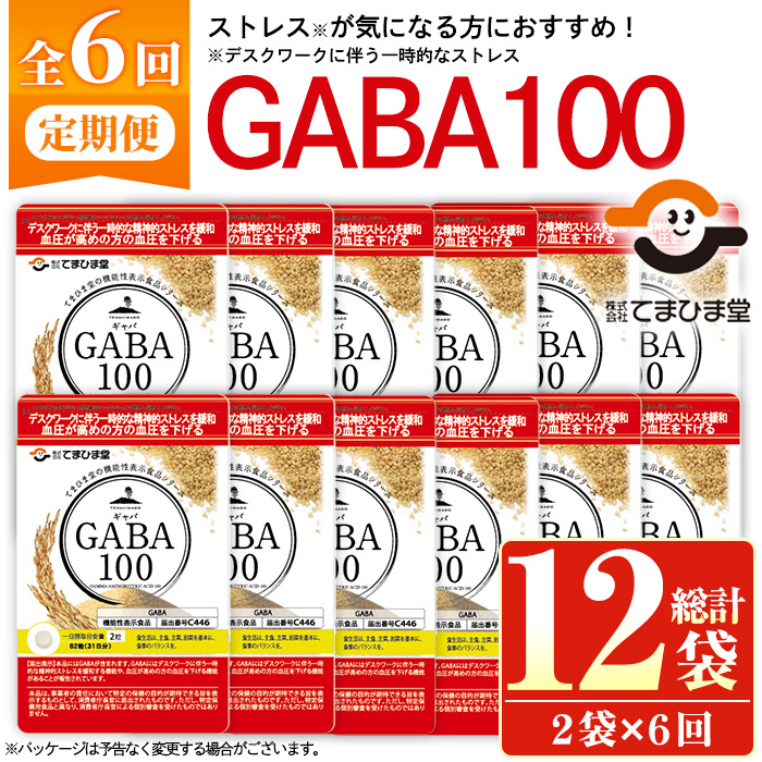 No.1286-B ＜定期便・全6回(隔月)＞GABA100(1袋 62粒入・2袋×6回 計12袋) 鹿児島 日置市 健康食品 機能性表示食品 サプリ 栄養バランス 高血圧 定期便【てまひま堂】