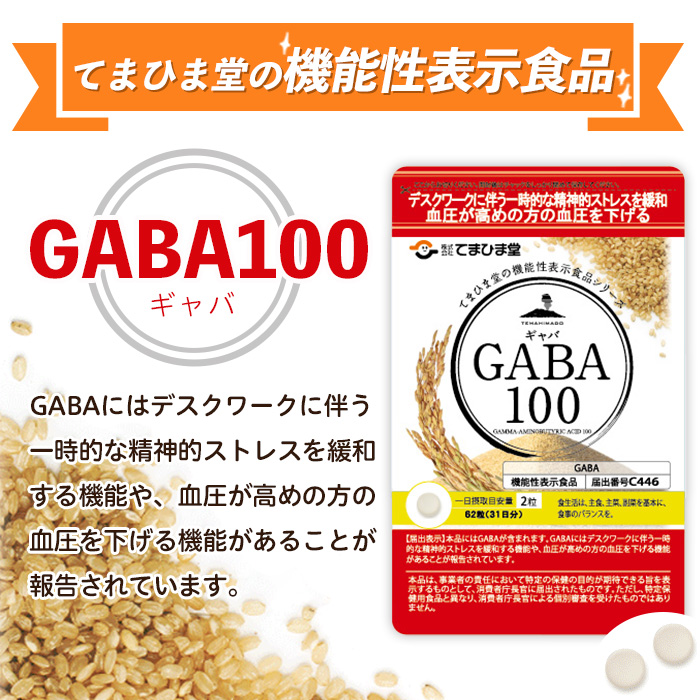 No.1286-B ＜定期便・全6回(隔月)＞GABA100(1袋 62粒入・2袋×6回 計12袋) 鹿児島 日置市 健康食品 機能性表示食品 サプリ 栄養バランス 高血圧 定期便【てまひま堂】