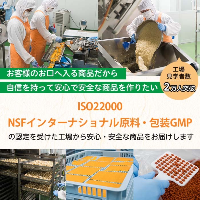 No.1286-B ＜定期便・全6回(隔月)＞GABA100(1袋 62粒入・2袋×6回 計12袋) 鹿児島 日置市 健康食品 機能性表示食品 サプリ 栄養バランス 高血圧 定期便【てまひま堂】