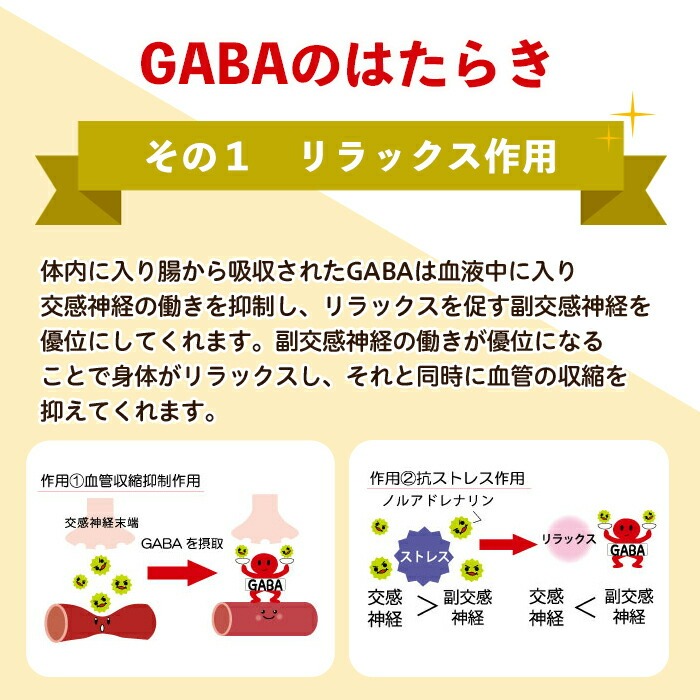 No.1286-B ＜定期便・全6回(隔月)＞GABA100(1袋 62粒入・2袋×6回 計12袋) 鹿児島 日置市 健康食品 機能性表示食品 サプリ 栄養バランス 高血圧 定期便【てまひま堂】