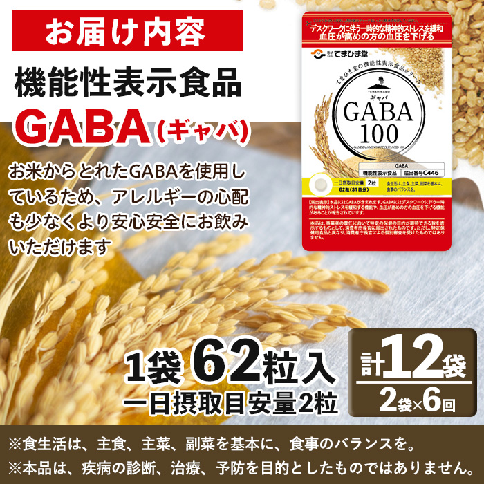 No.1286-B ＜定期便・全6回(隔月)＞GABA100(1袋 62粒入・2袋×6回 計12袋) 鹿児島 日置市 健康食品 機能性表示食品 サプリ 栄養バランス 高血圧 定期便【てまひま堂】
