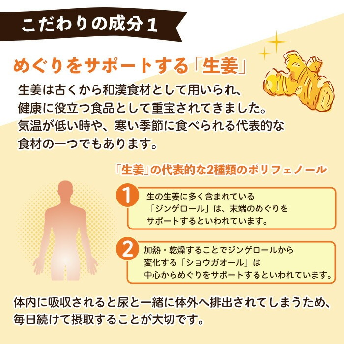 No.1293 てまひま にんにく卵黄生姜(1袋 62粒入り)  鹿児島 日置市 ニンニク 健康食品 栄養 元気 カプセル 安全安心 生姜 サプリ サプリメント 【てまひま堂】