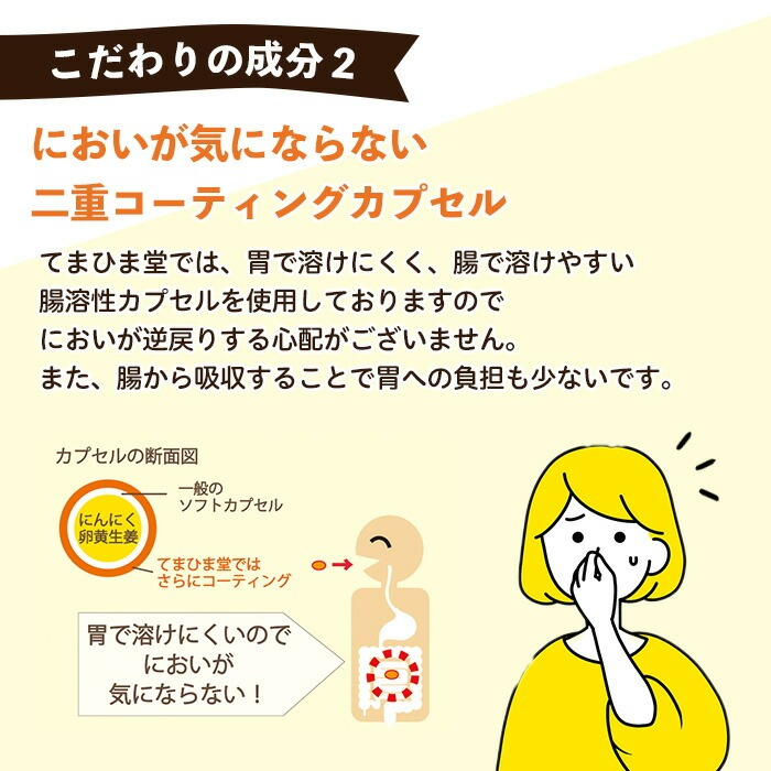 No.1293 てまひま にんにく卵黄生姜(1袋 62粒入り)  鹿児島 日置市 ニンニク 健康食品 栄養 元気 カプセル 安全安心 生姜 サプリ サプリメント 【てまひま堂】