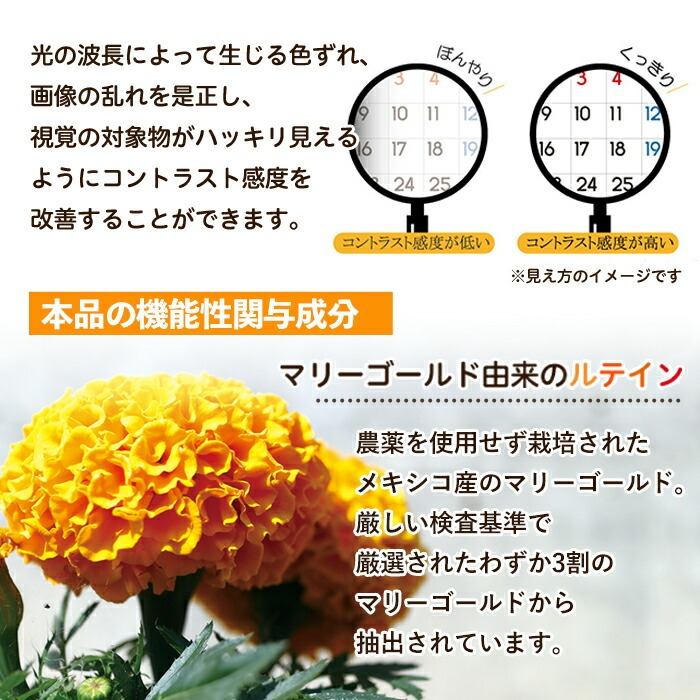 No.1283 ＜定期便・全6回(隔月)＞ルテイン(1袋 62粒入り・2袋×6回)  鹿児島 日置市 健康食品 機能性表示食品 加工食品 サプリメント 栄養 目 ブルーライト 定期便【てまひま堂】