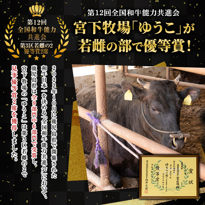 No.603 鹿児島県産黒毛和牛ロースステーキ(2枚・計400g)【さつま屋産業】