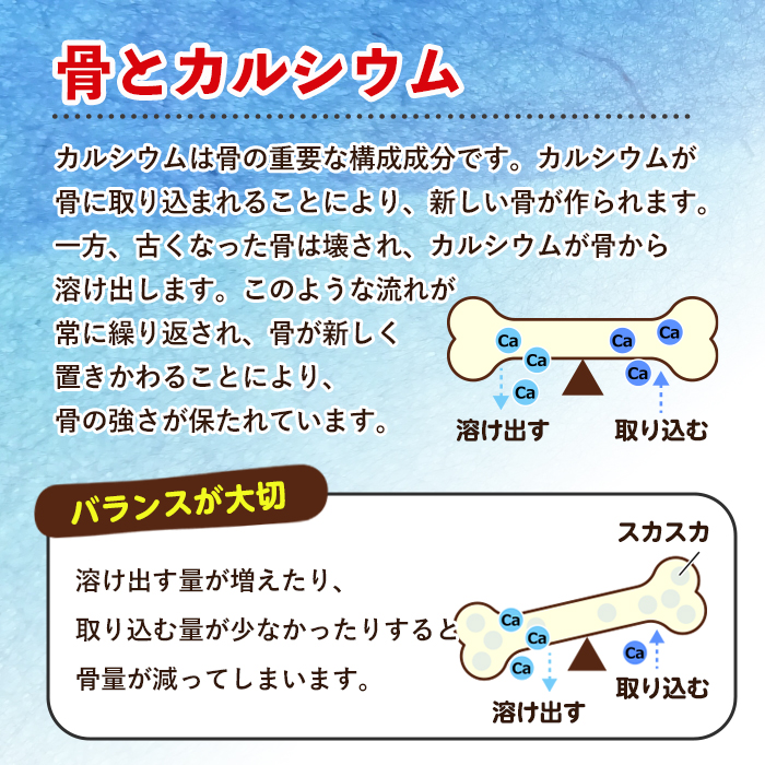 No.897 カルシウム(186粒入×3袋・計558粒)鹿児島 日置市 健康食品 サプリ 栄養バランス 食生活 安心安全 カルシウム 乳製品 歯 骨 にぼし 煮干し ビタミンD【てまひま堂】