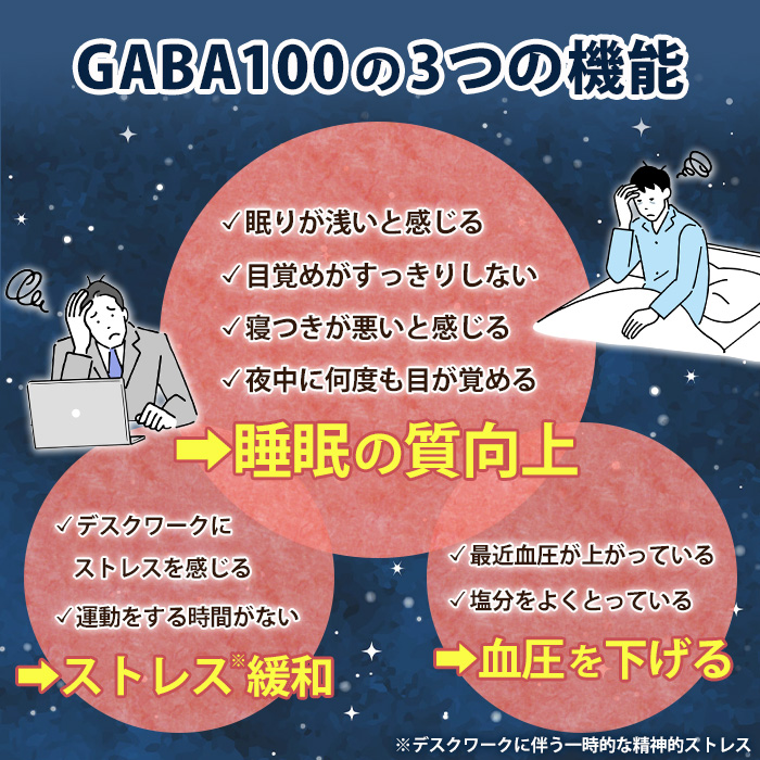 No.898 ＜機能性表示食品＞GABA100(62粒入×2袋・計124粒)【てまひま堂】