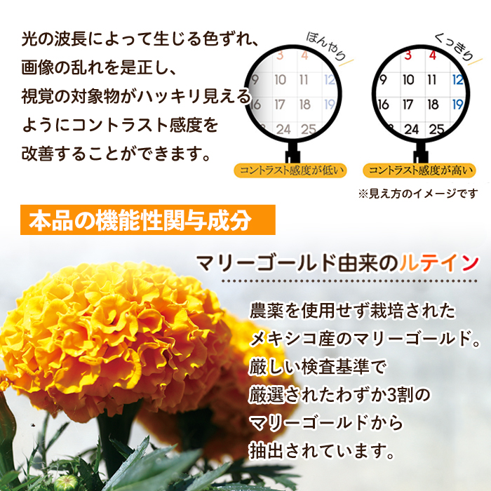 No.900 ＜機能性表示食品＞ルテイン(計3袋×62粒入)【てまひま堂】