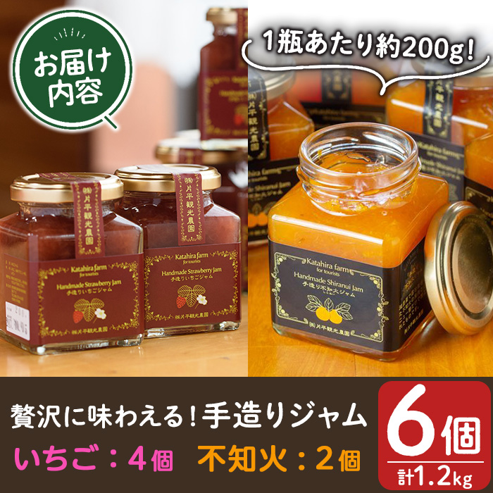 No.907 èºãžã£ã (200gÃ4æ¬)ãšäžç¥ç«ãžã£ã (200gÃ2æ¬)ãç平芳å
蟲åã