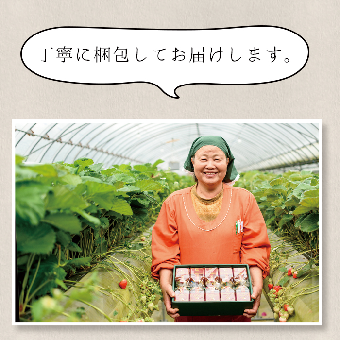 No.907 èºãžã£ã (200gÃ4æ¬)ãšäžç¥ç«ãžã£ã (200gÃ2æ¬)ãç平芳å
蟲åã