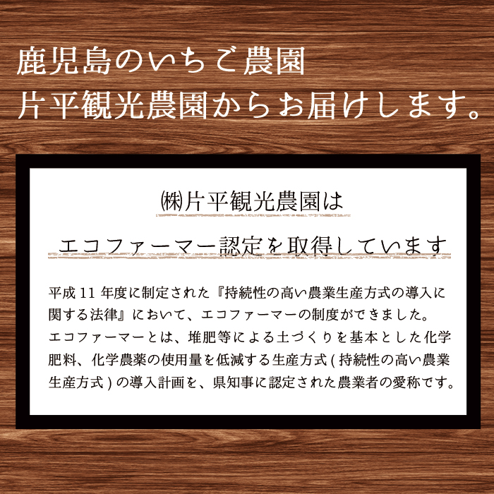 No.1022 手造りイチゴジャム(約500g×3本) 国産 鹿児島県産 いちご 苺 ジャム フルーツ 果物 手作り 調味料 小分け 贈答 プレゼント 着色料無添加 保存料無添加【片平観光農園】